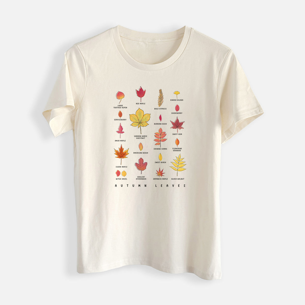 Vibrant Autumn Leaves Chart - Womens Everyday Maple Tee