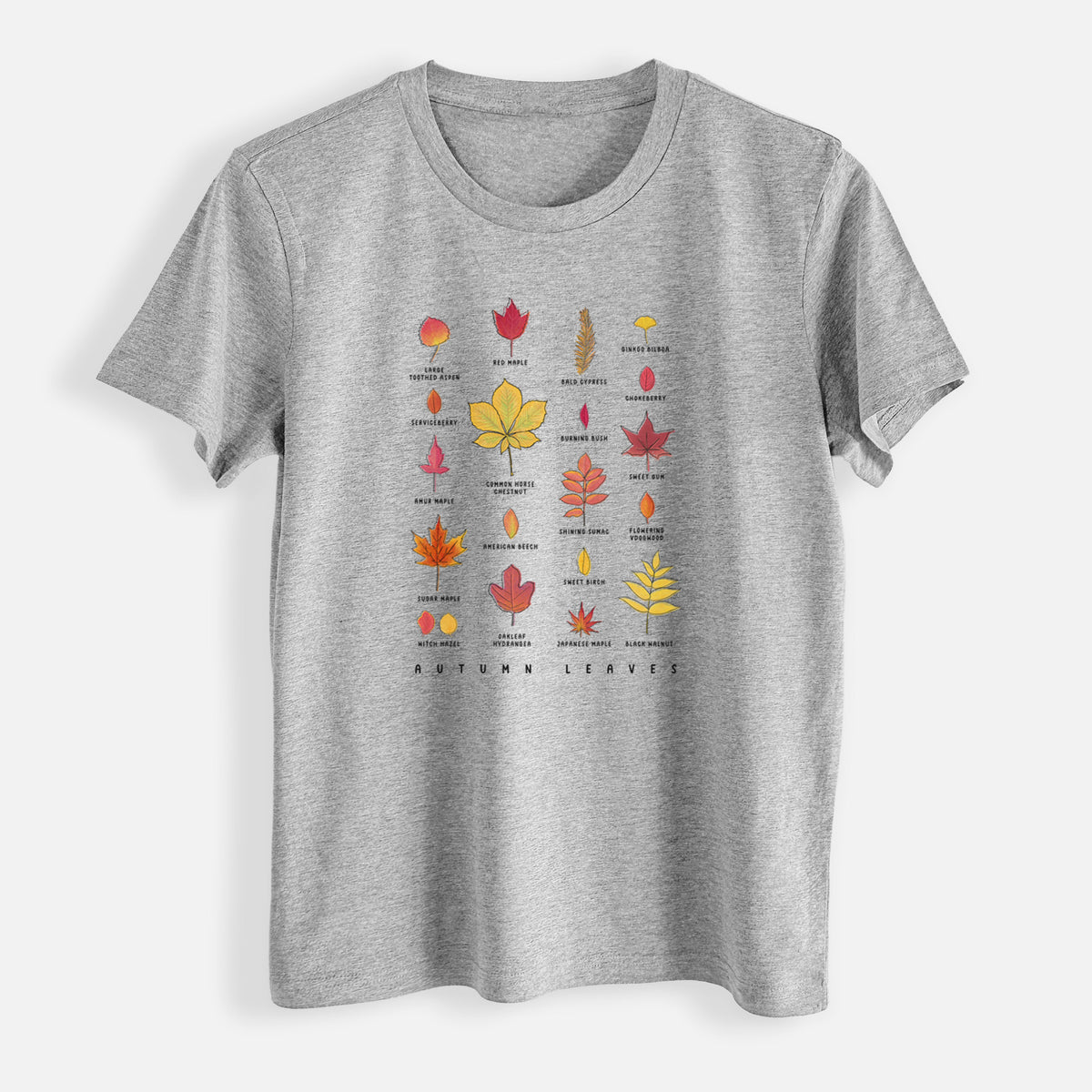 Vibrant Autumn Leaves Chart - Womens Everyday Maple Tee