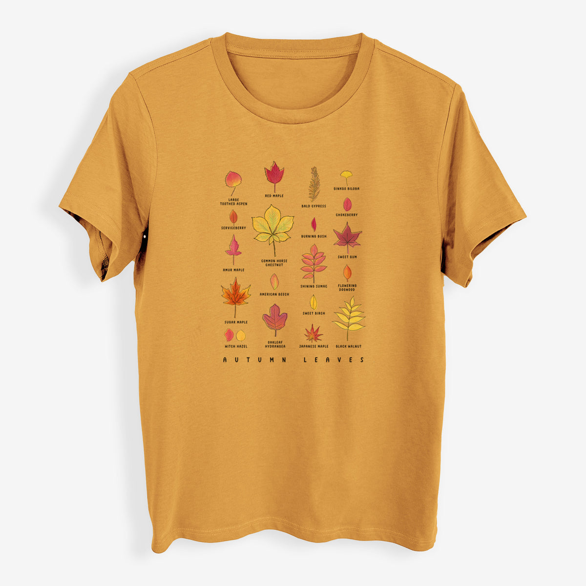 Vibrant Autumn Leaves Chart - Womens Everyday Maple Tee