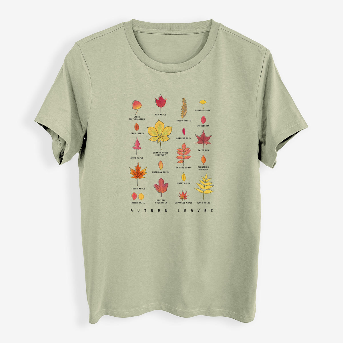 Vibrant Autumn Leaves Chart - Womens Everyday Maple Tee