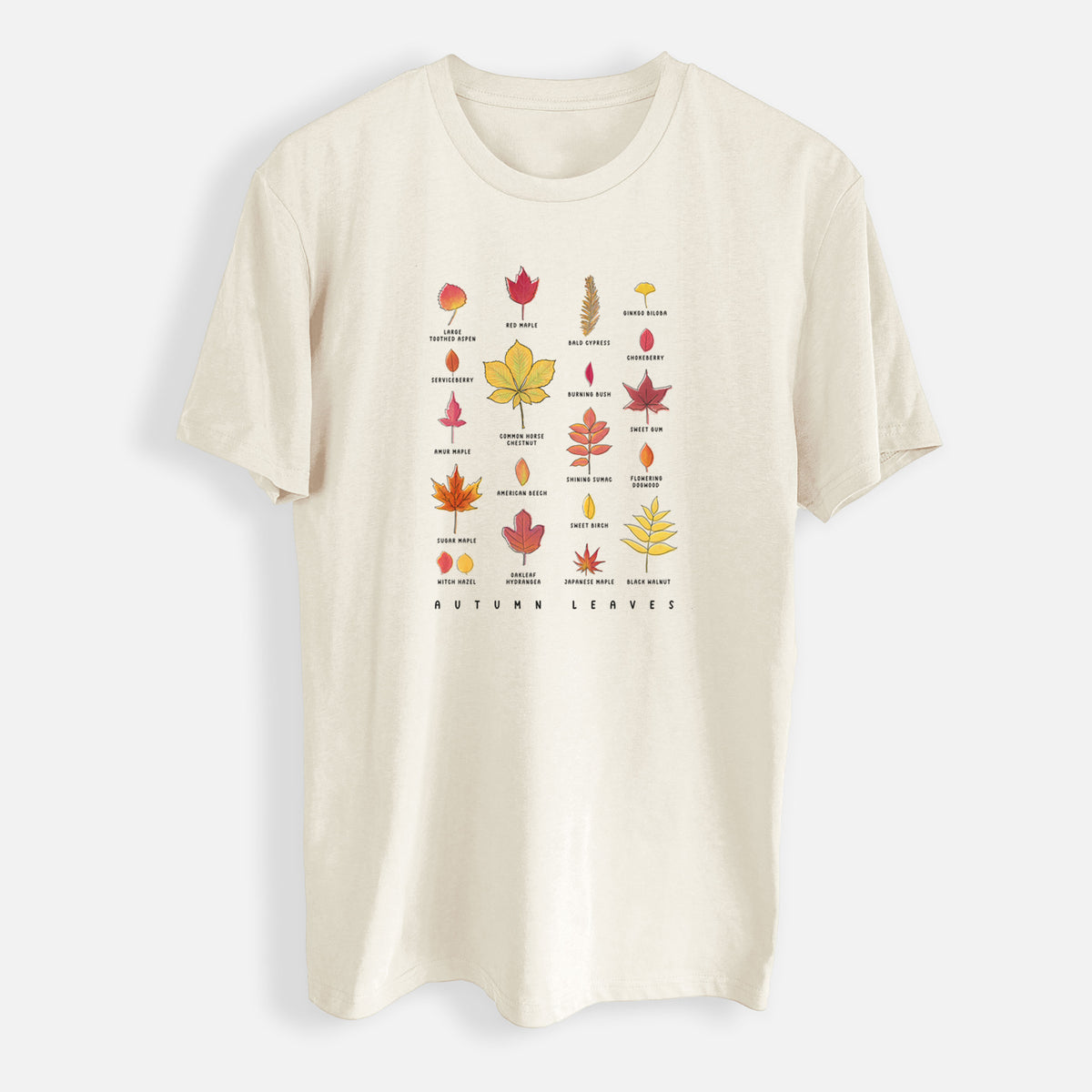 Vibrant Autumn Leaves Chart - Mens Everyday Staple Tee