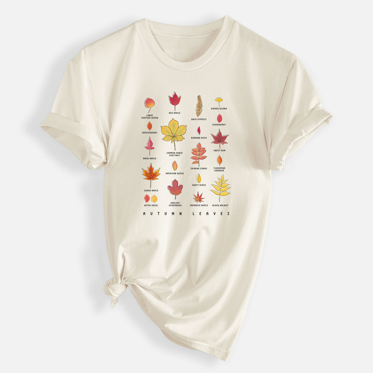 Vibrant Autumn Leaves Chart - Mens Everyday Staple Tee