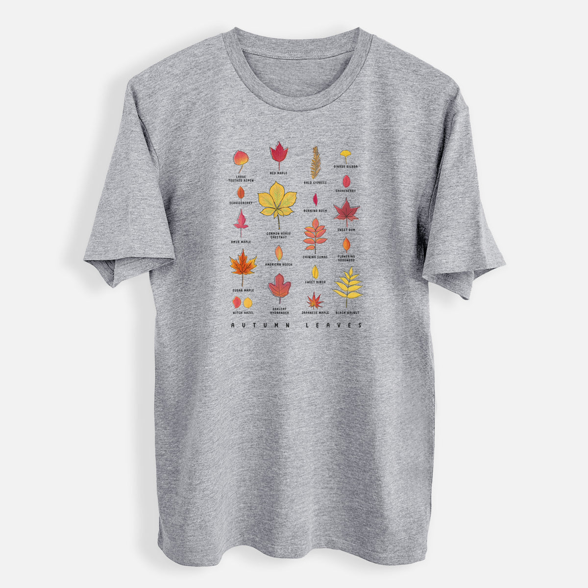 Vibrant Autumn Leaves Chart - Mens Everyday Staple Tee