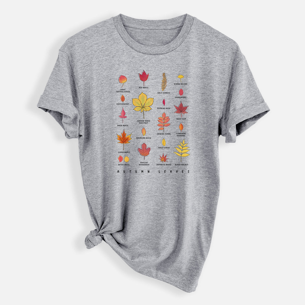 Vibrant Autumn Leaves Chart - Mens Everyday Staple Tee