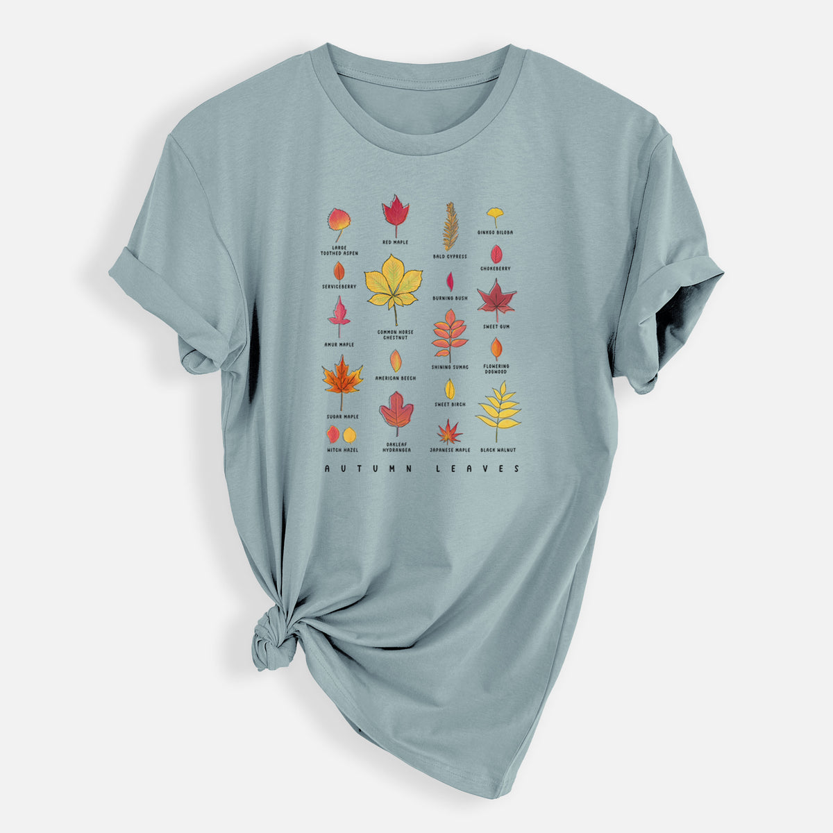 Vibrant Autumn Leaves Chart - Mens Everyday Staple Tee