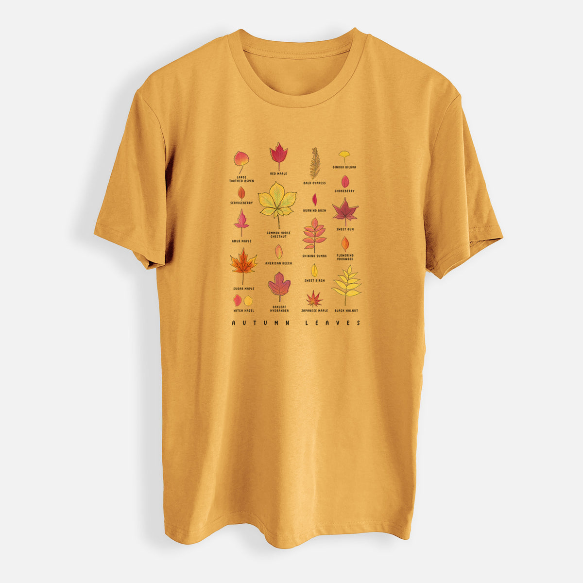 Vibrant Autumn Leaves Chart - Mens Everyday Staple Tee