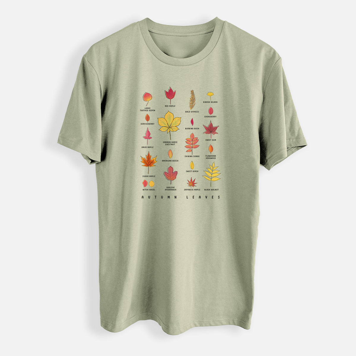 Vibrant Autumn Leaves Chart - Mens Everyday Staple Tee