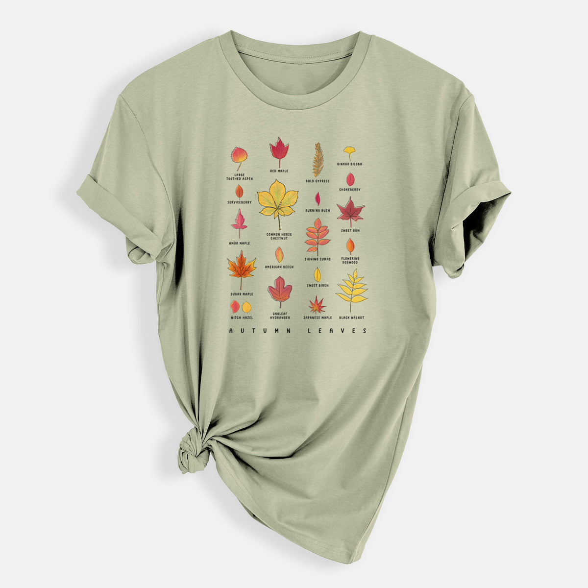 Vibrant Autumn Leaves Chart - Mens Everyday Staple Tee