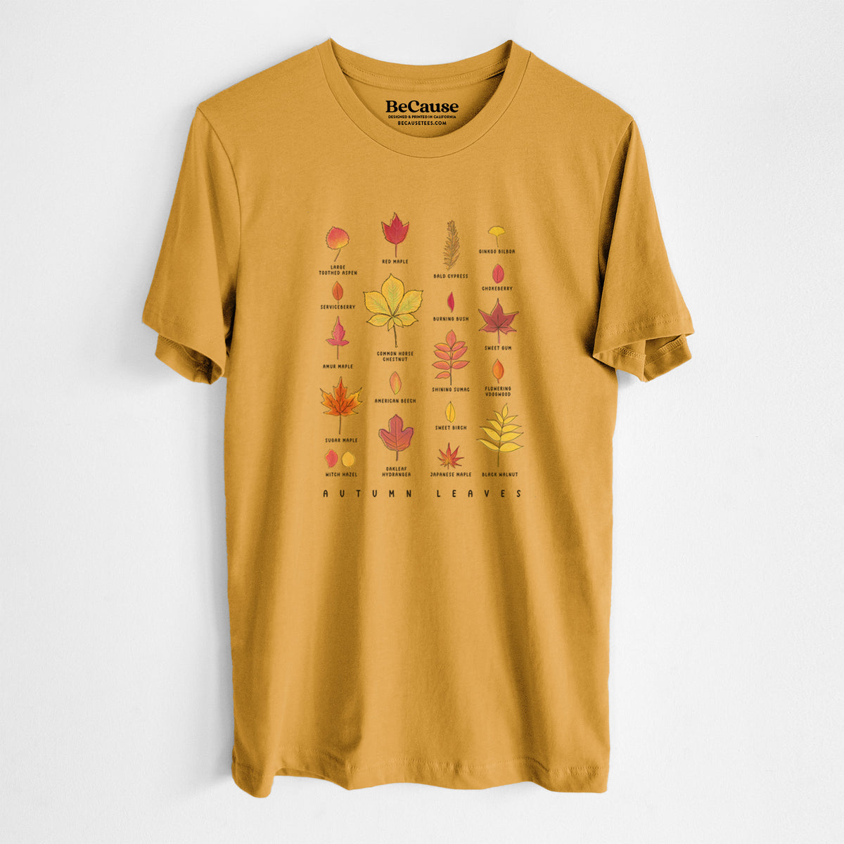 Vibrant Autumn Leaves Chart - Lightweight 100% Cotton Unisex Crewneck