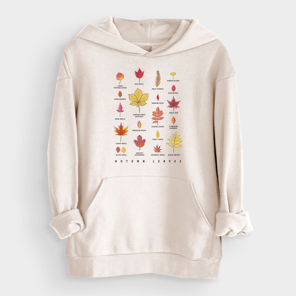 Vibrant Autumn Leaves Chart  - Bodega Midweight Hoodie