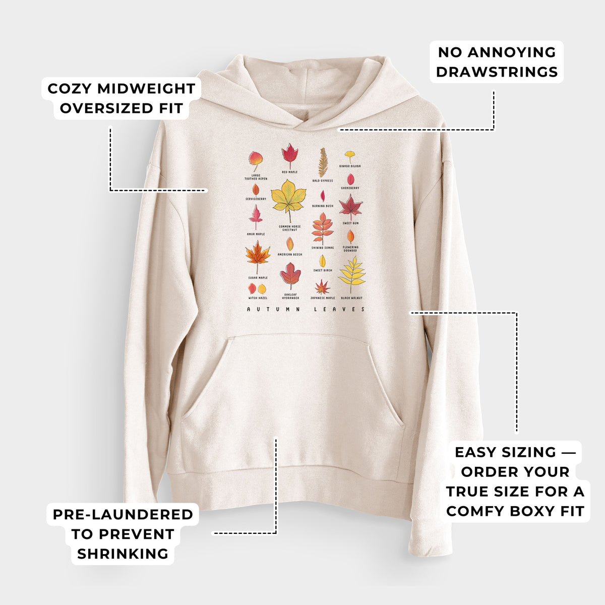 Vibrant Autumn Leaves Chart  - Bodega Midweight Hoodie