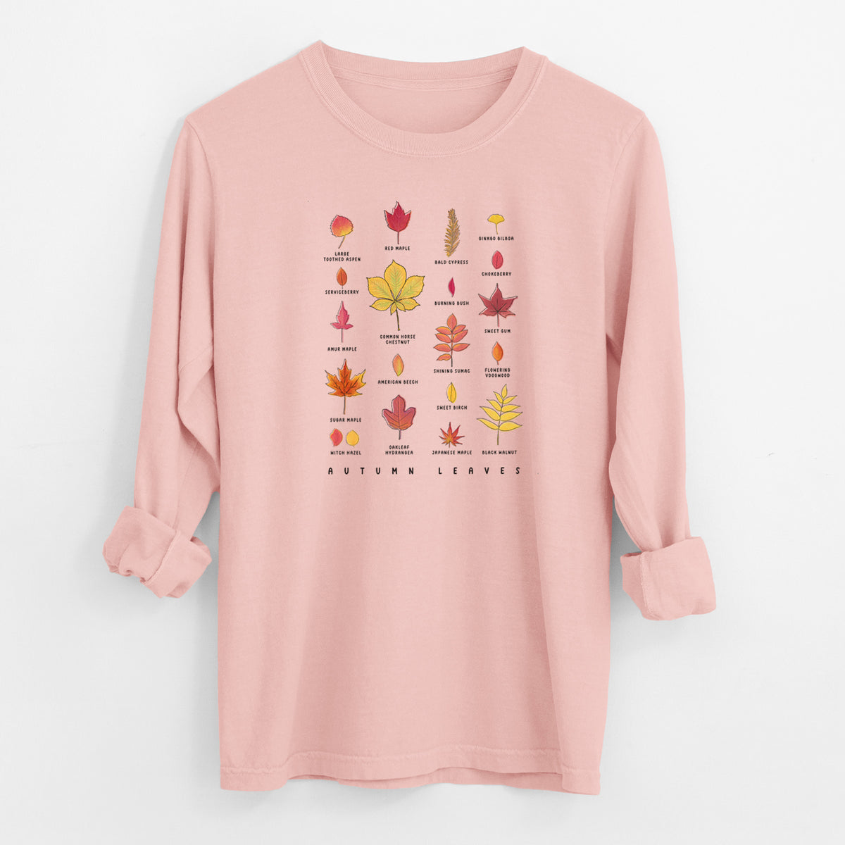 Vibrant Autumn Leaves Chart - Heavyweight 100% Cotton Long Sleeve