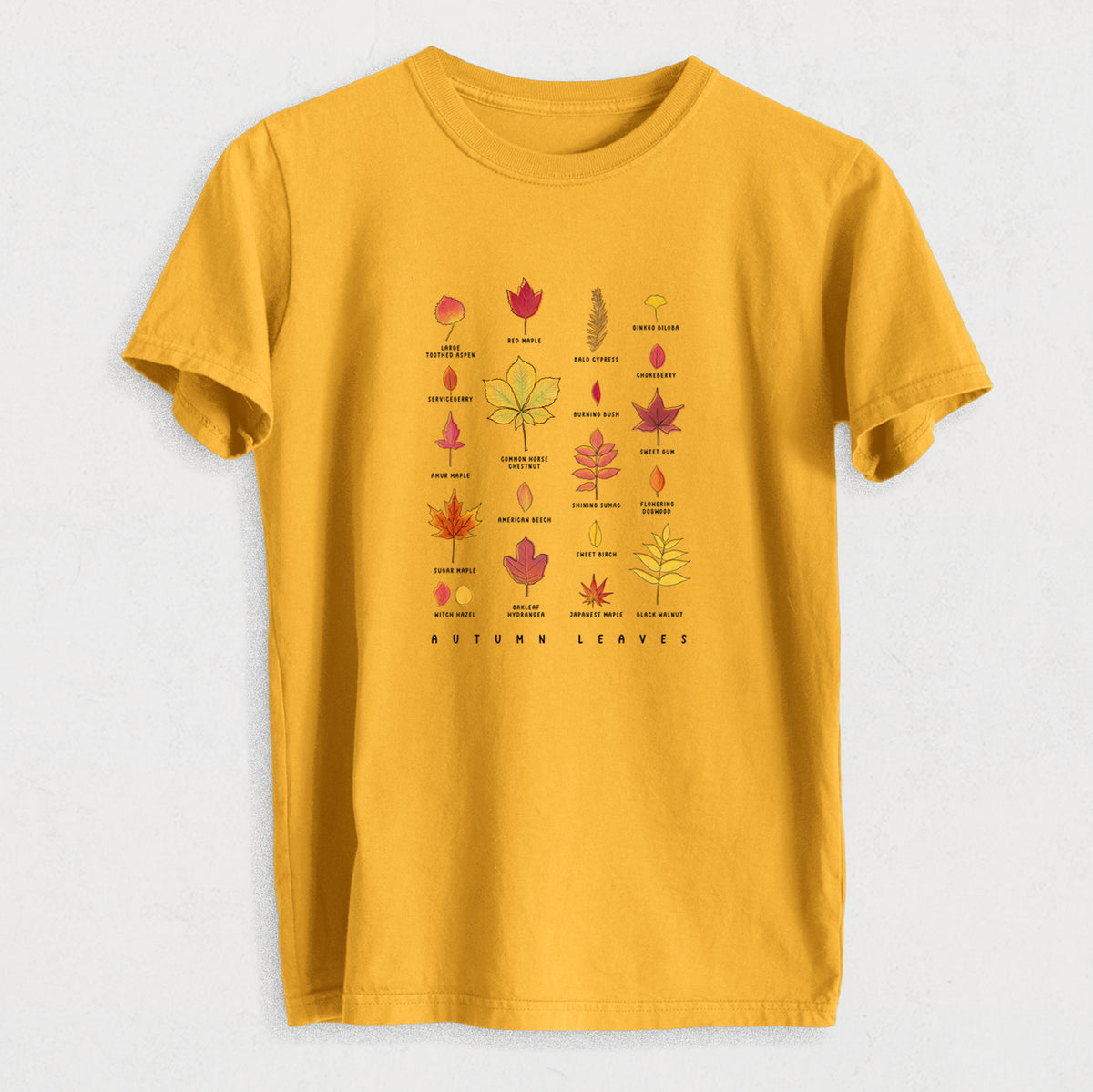 Vibrant Autumn Leaves Chart - Heavyweight Men&#39;s 100% Organic Cotton Tee