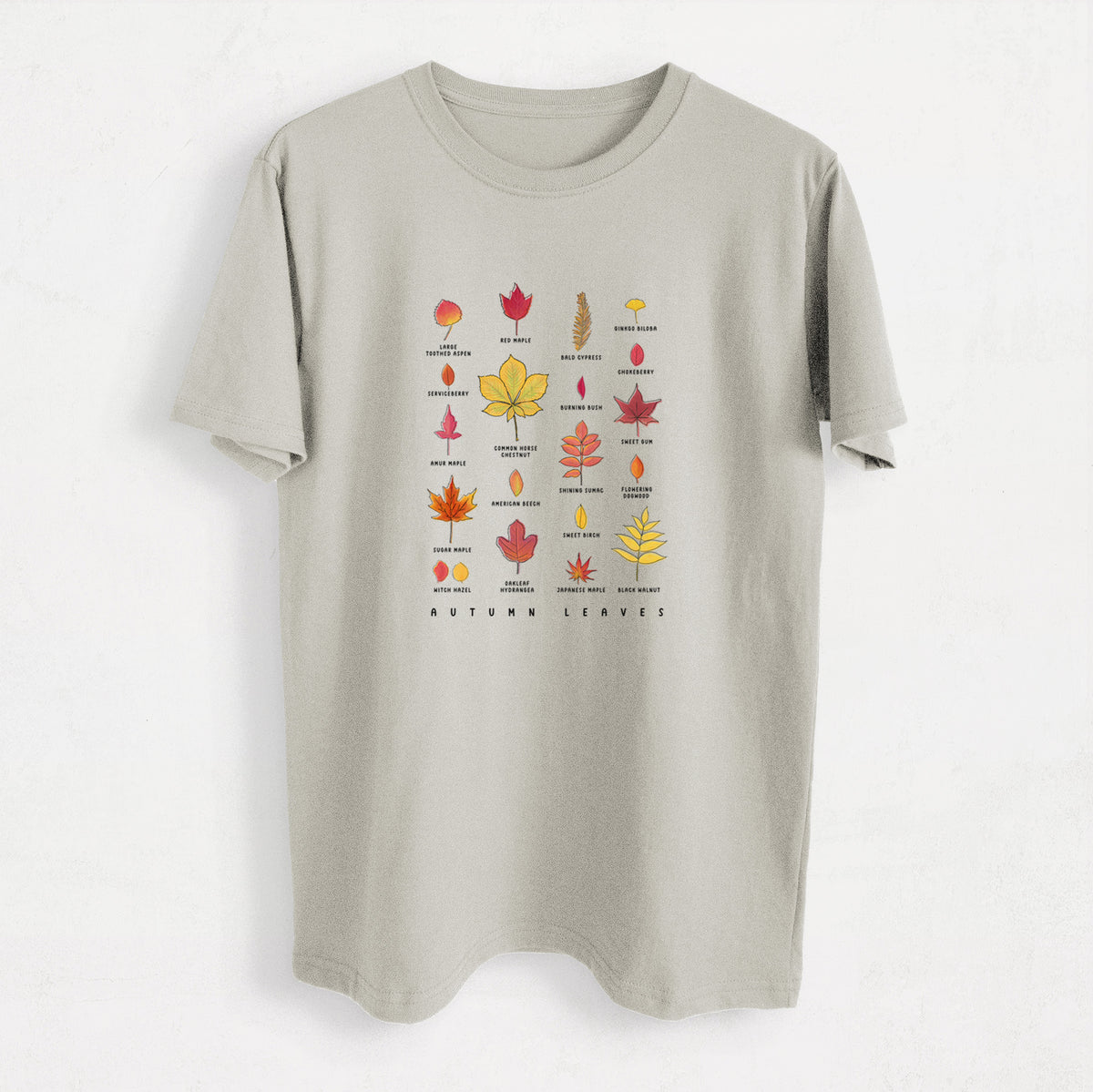 Vibrant Autumn Leaves Chart - Heavyweight Men&#39;s 100% Organic Cotton Tee