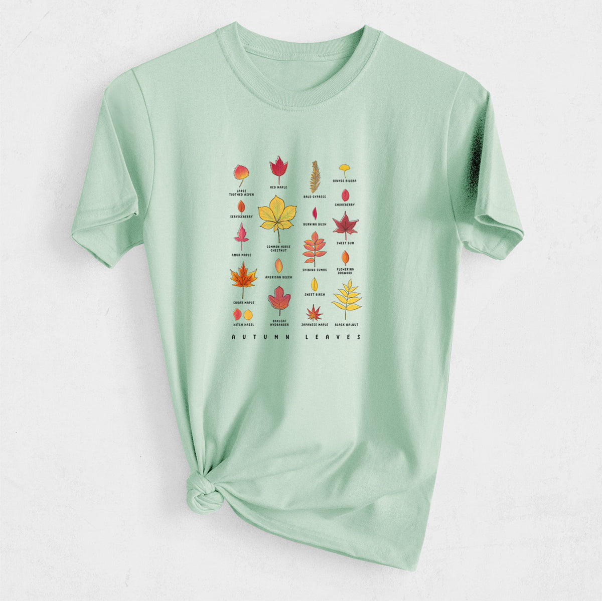 Vibrant Autumn Leaves Chart - Heavyweight Men&#39;s 100% Organic Cotton Tee