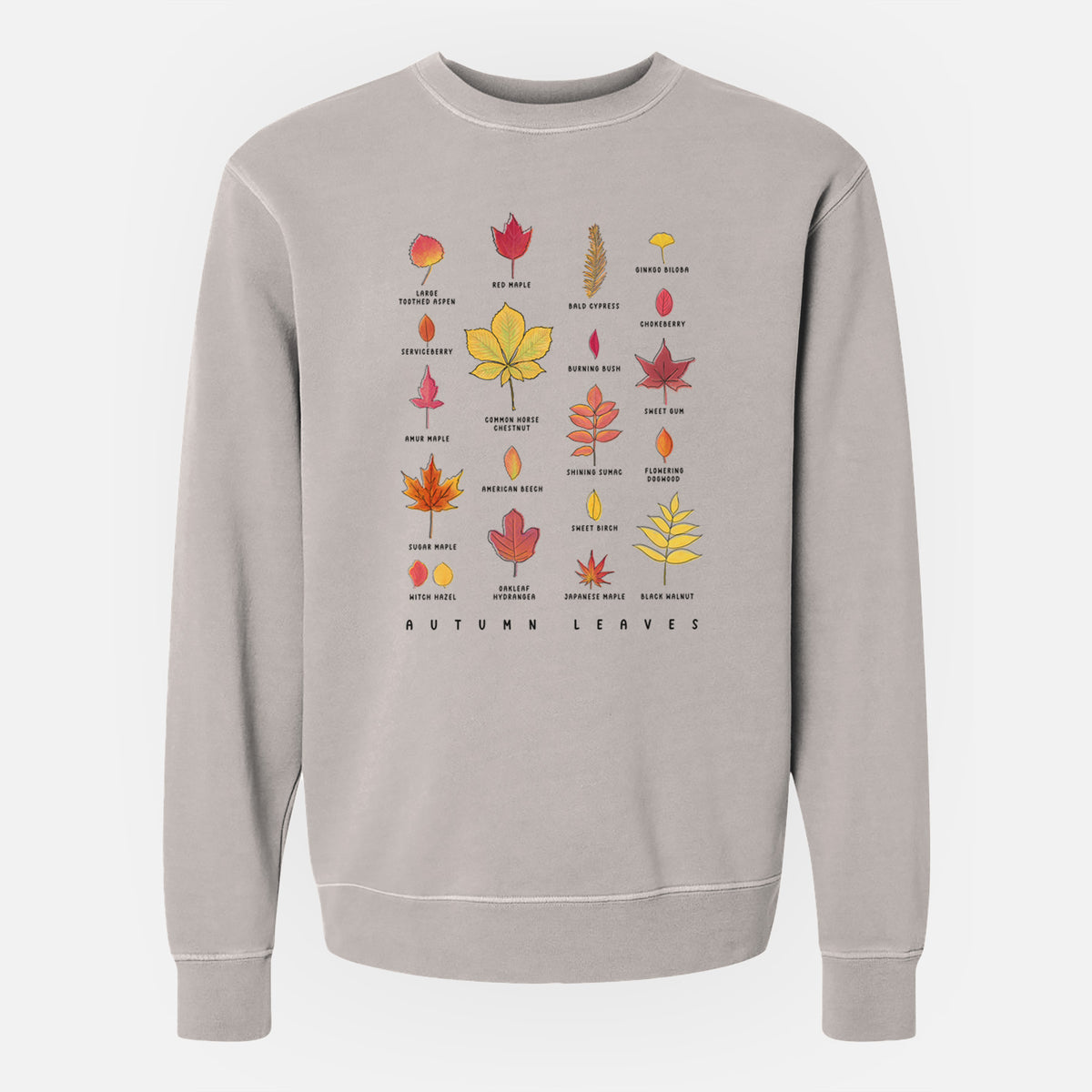 Vibrant Autumn Leaves Chart - Unisex Pigment Dyed Crew Sweatshirt