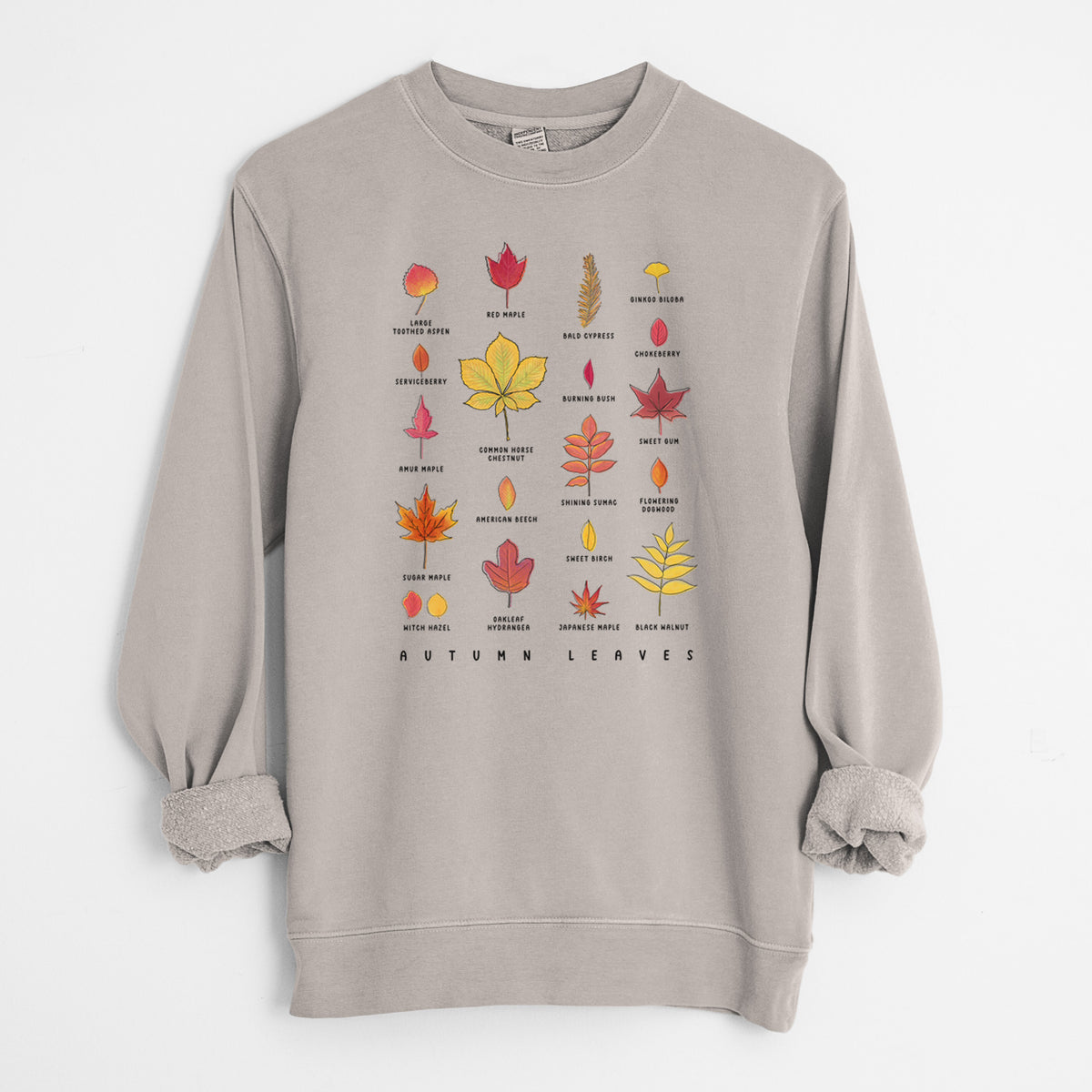 Vibrant Autumn Leaves Chart - Unisex Pigment Dyed Crew Sweatshirt