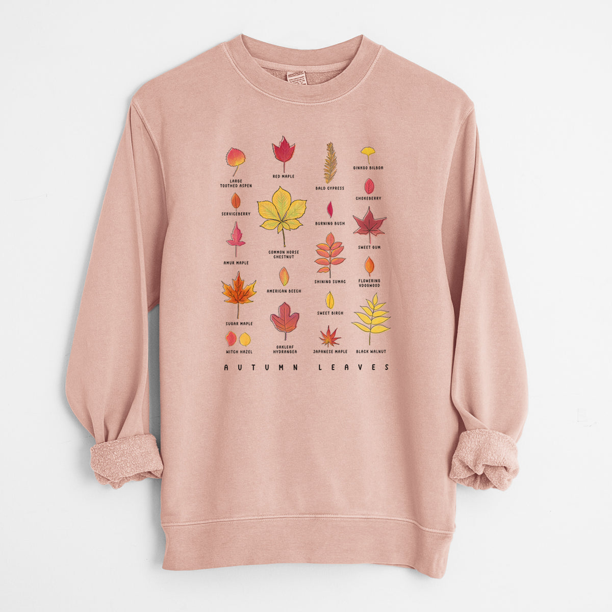 Vibrant Autumn Leaves Chart - Unisex Pigment Dyed Crew Sweatshirt