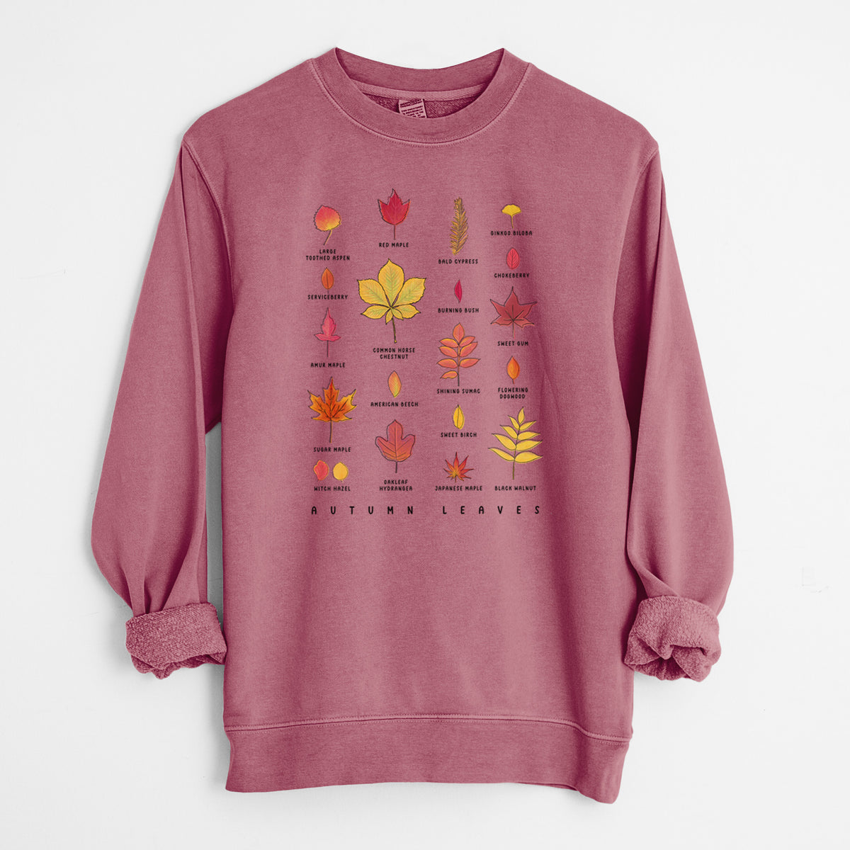 Vibrant Autumn Leaves Chart - Unisex Pigment Dyed Crew Sweatshirt