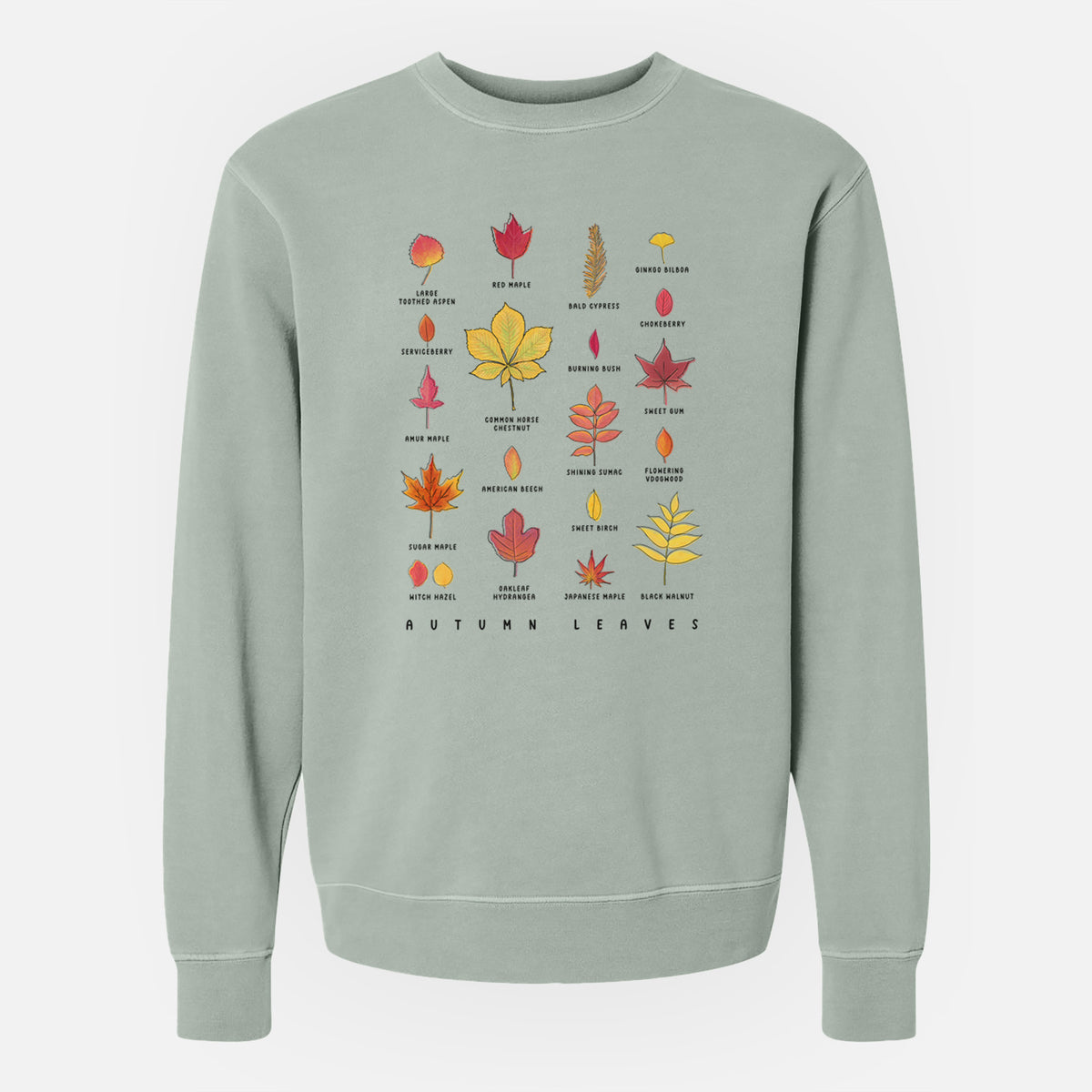 Vibrant Autumn Leaves Chart - Unisex Pigment Dyed Crew Sweatshirt