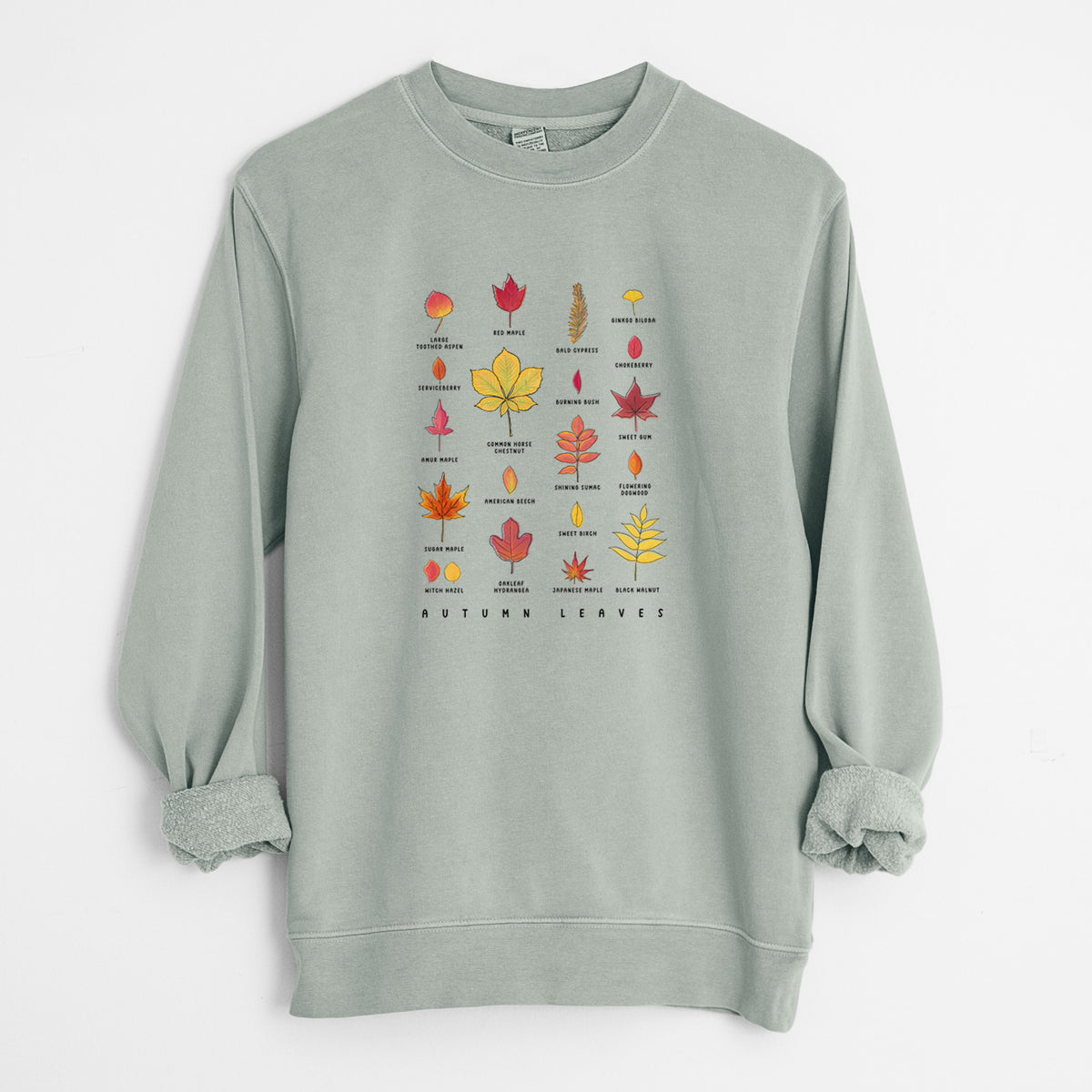 Vibrant Autumn Leaves Chart - Unisex Pigment Dyed Crew Sweatshirt