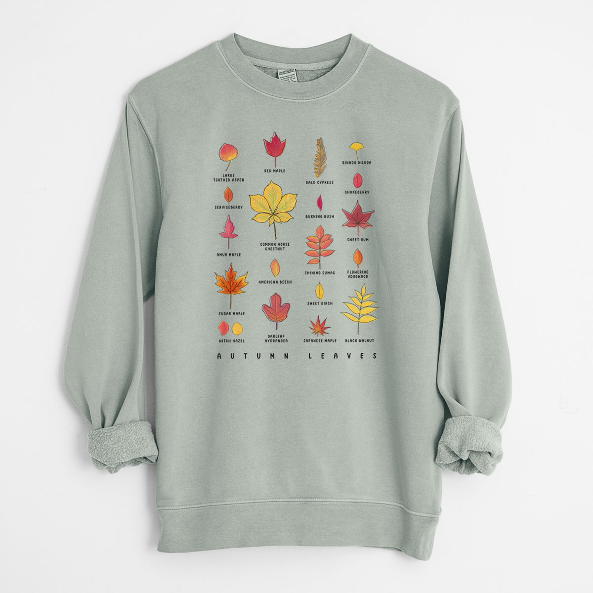 Vibrant Autumn Leaves Chart - Unisex Pigment Dyed Crew Sweatshirt