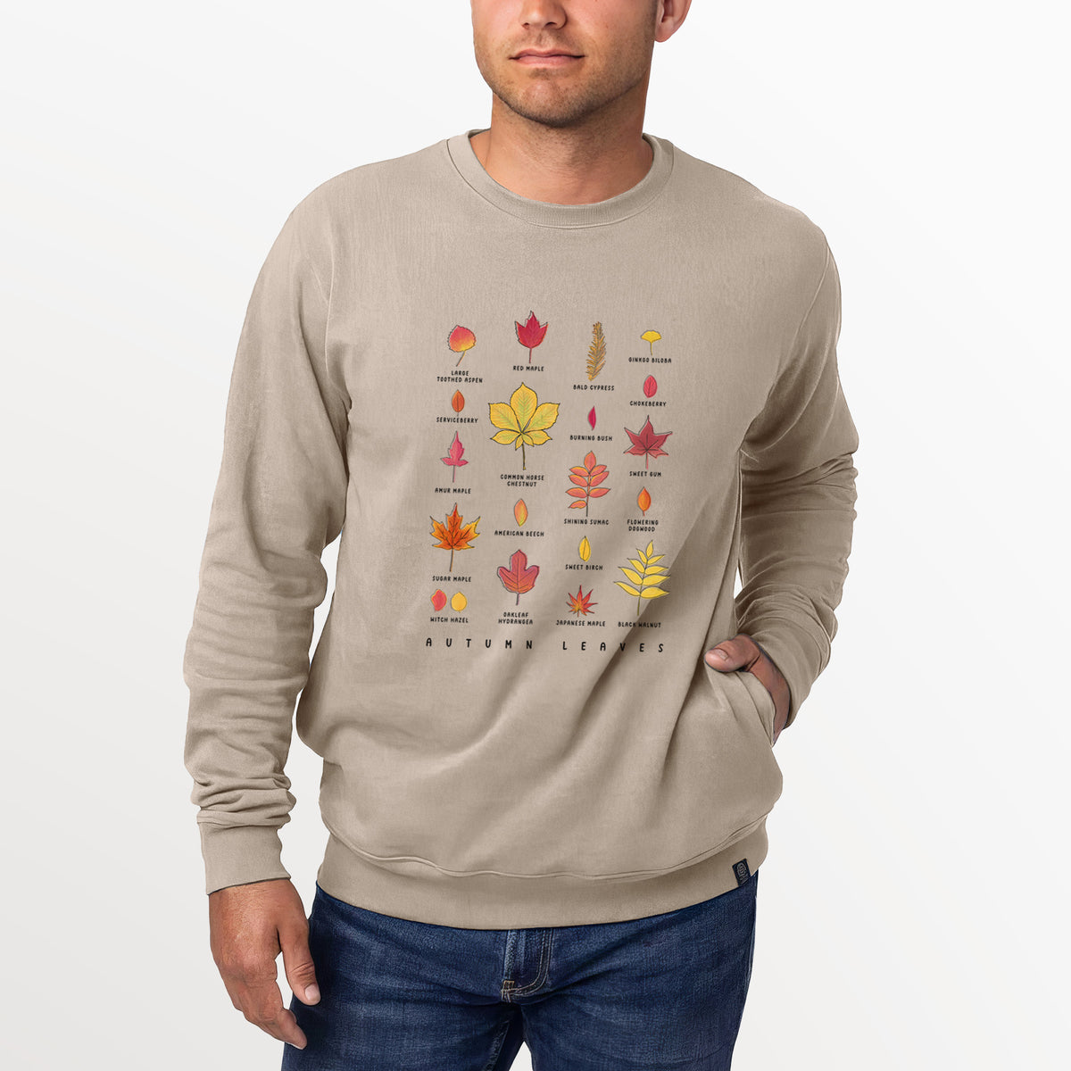 Vibrant Autumn Leaves Chart  - Unisex Reclaimed Crewneck Sweatshirt