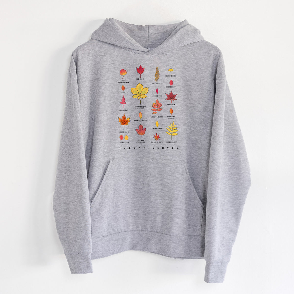 Vibrant Autumn Leaves Chart - Statement Midweight Hoodie in Heather Grey, hanging on a white wall, with a front kangaroo pocket and no drawcords.