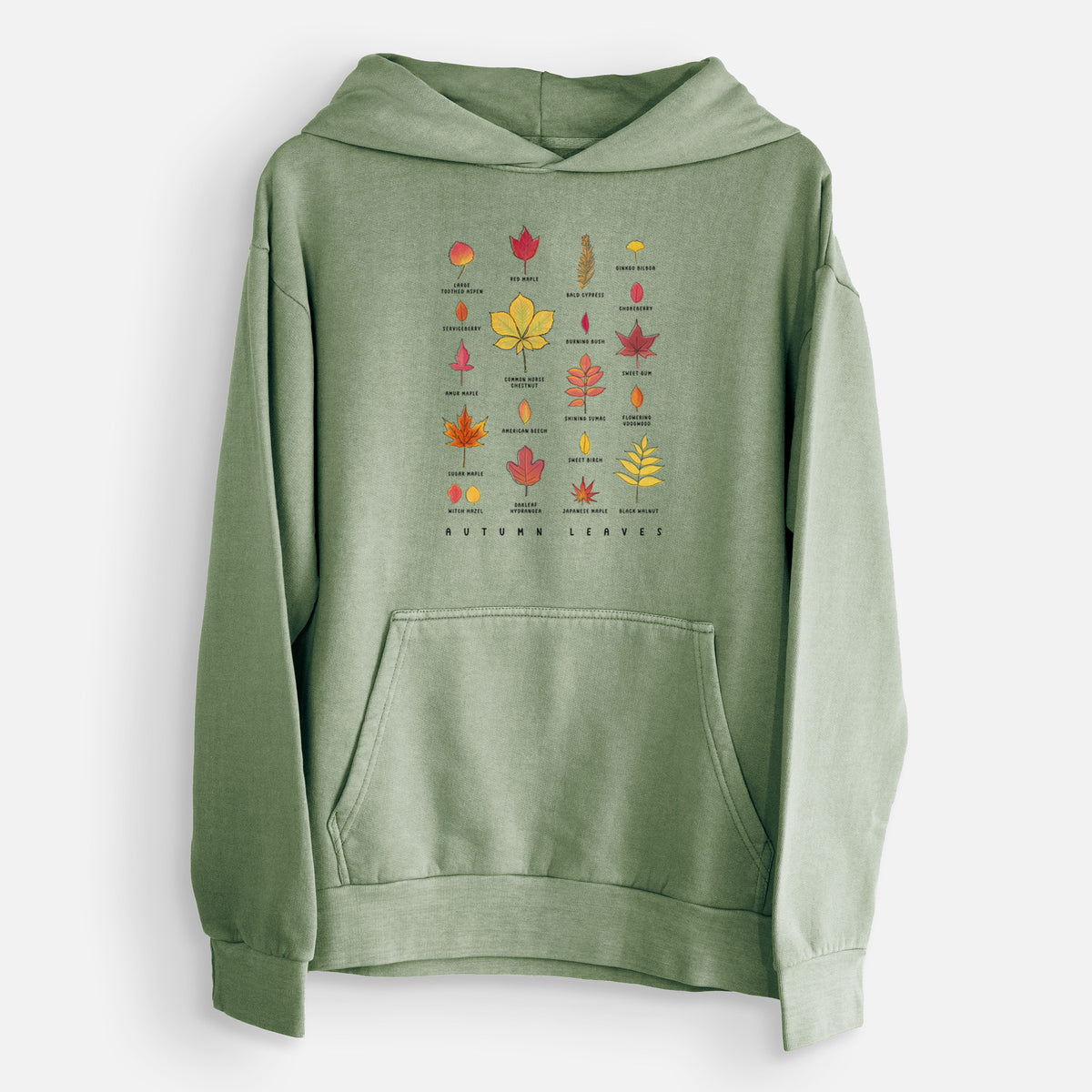 Vibrant Autumn Leaves Chart  - Urban Heavyweight Hoodie