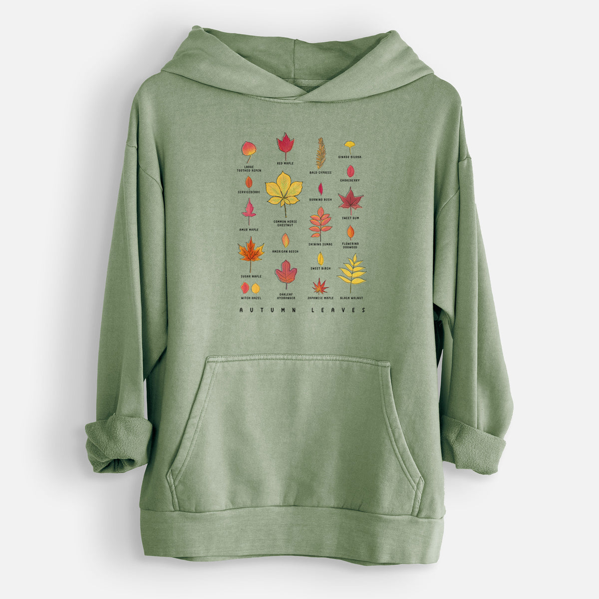 Vibrant Autumn Leaves Chart  - Urban Heavyweight Hoodie