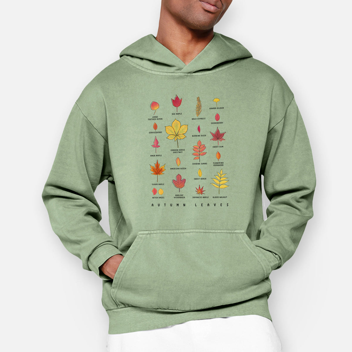 Vibrant Autumn Leaves Chart  - Urban Heavyweight Hoodie