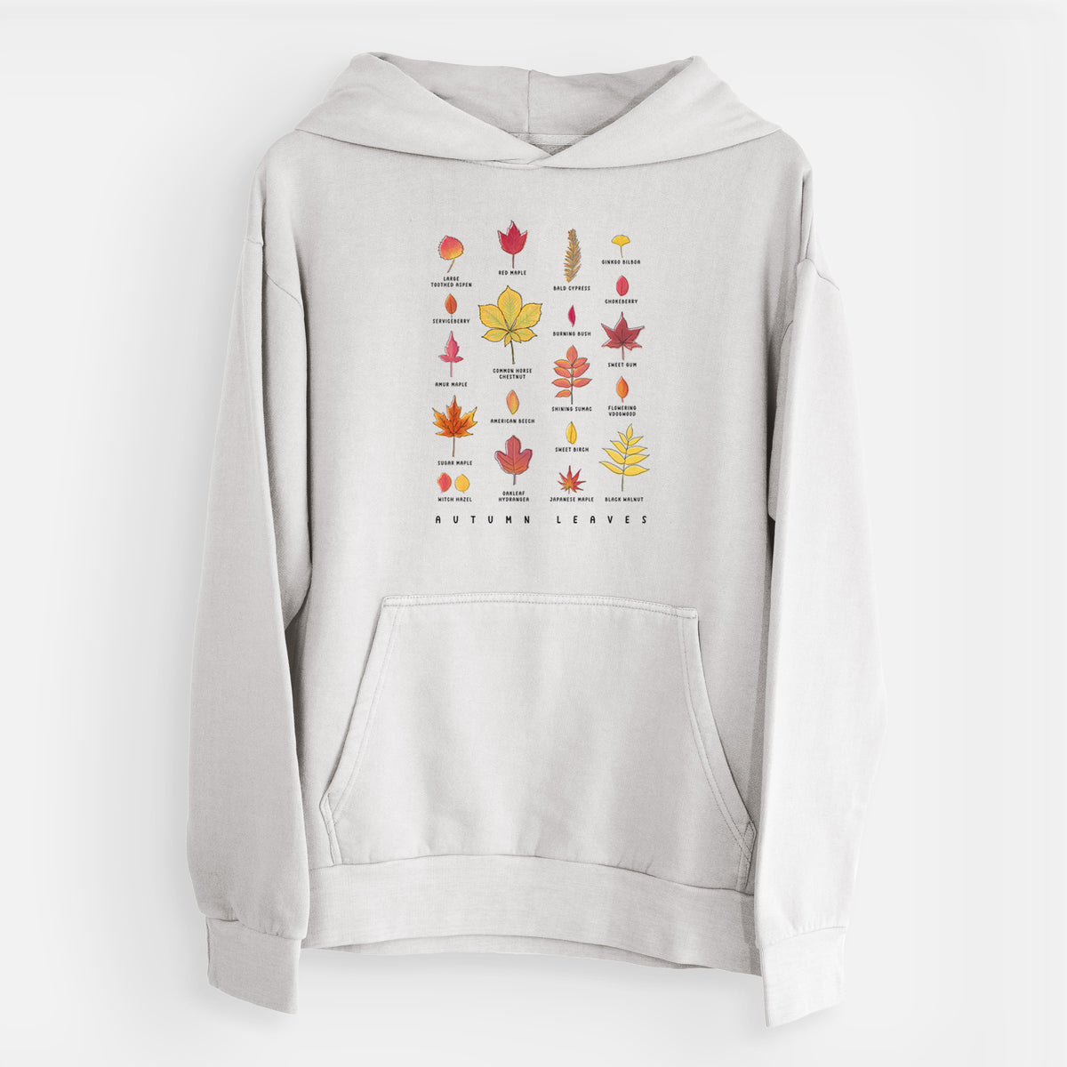 Vibrant Autumn Leaves Chart  - Urban Heavyweight Hoodie