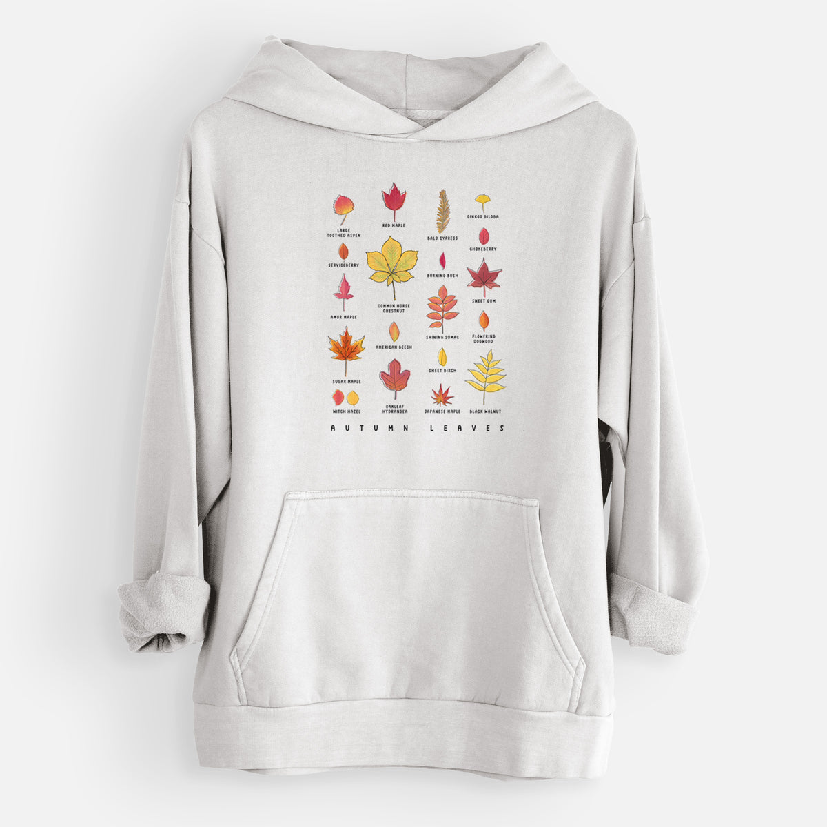 Vibrant Autumn Leaves Chart  - Urban Heavyweight Hoodie