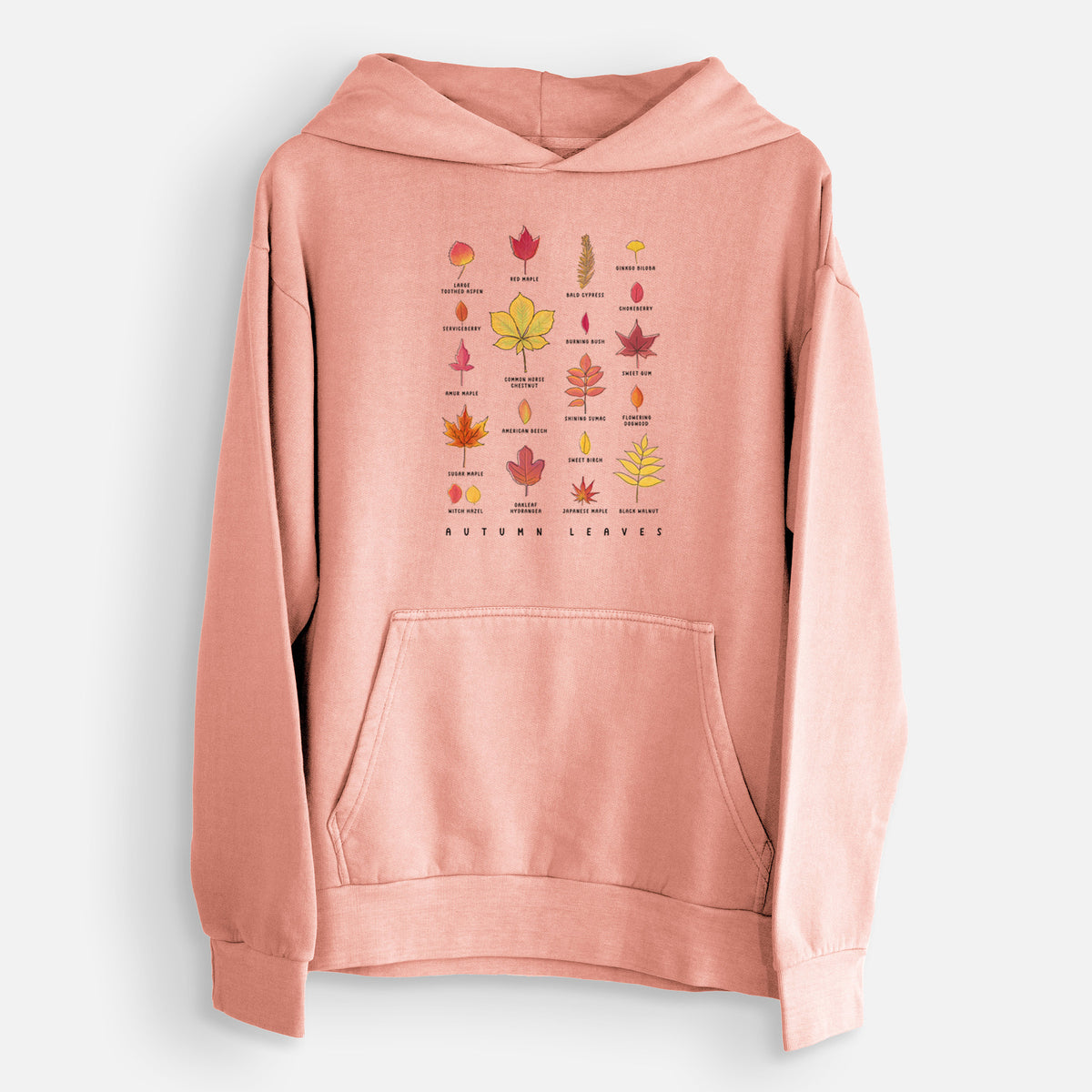 Vibrant Autumn Leaves Chart  - Urban Heavyweight Hoodie