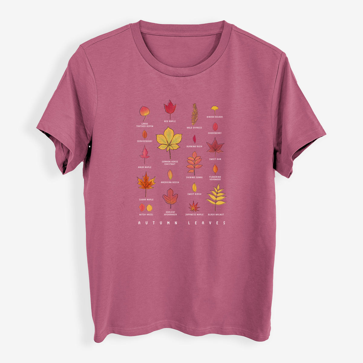 Vibrant Autumn Leaves Chart - Womens Everyday Maple Tee