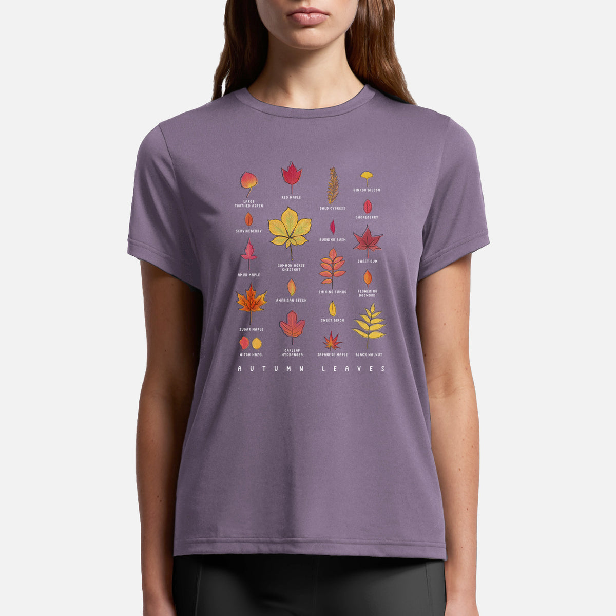 Vibrant Autumn Leaves Chart - Womens Everyday Maple Tee