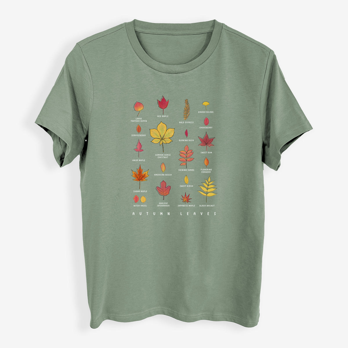 Vibrant Autumn Leaves Chart - Womens Everyday Maple Tee