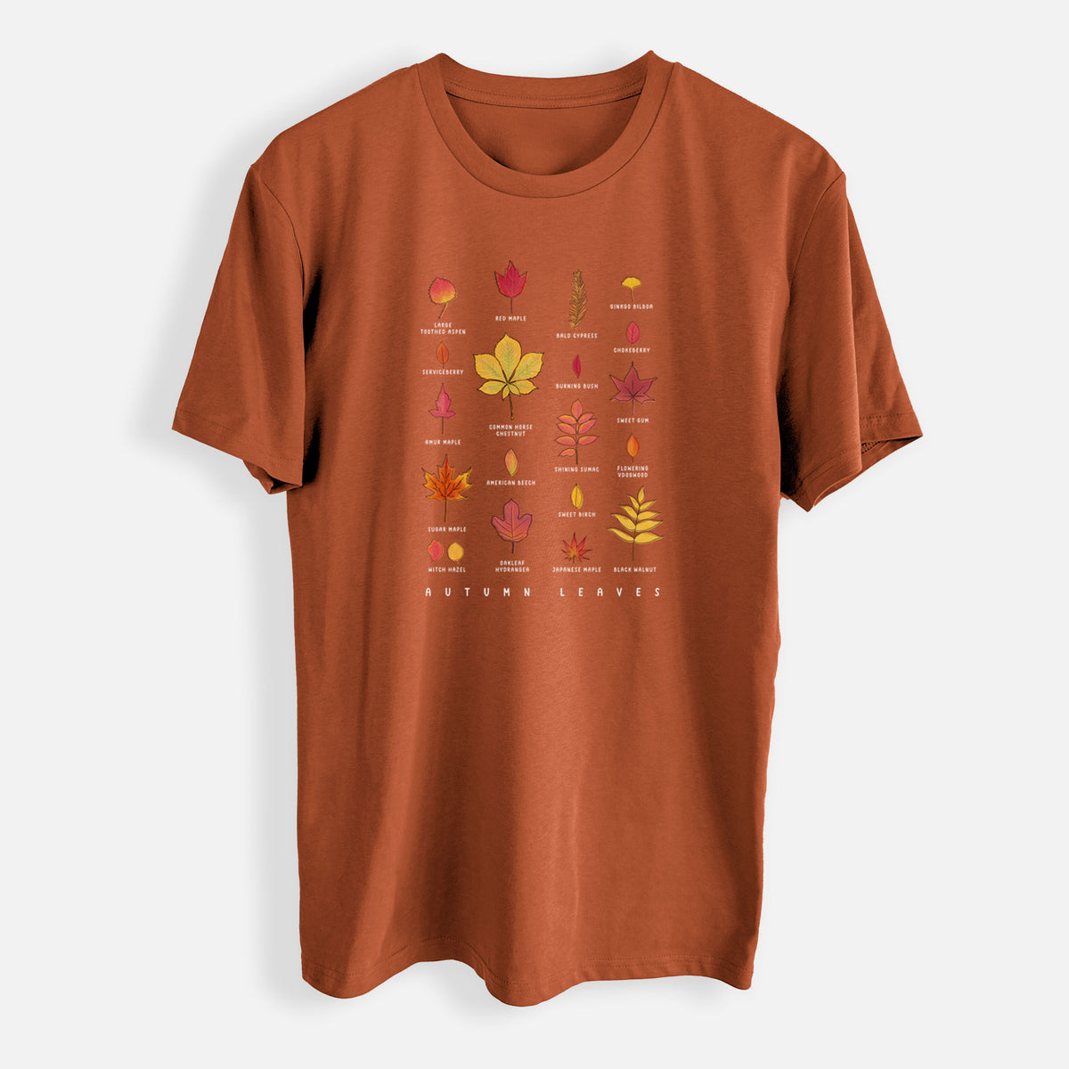 Vibrant Autumn Leaves Chart - Mens Everyday Staple Tee