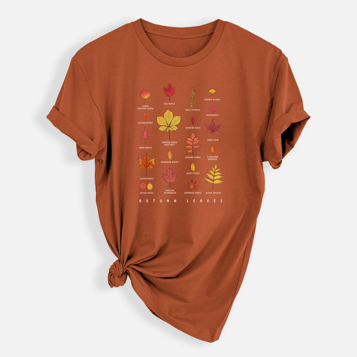 Vibrant Autumn Leaves Chart - Mens Everyday Staple Tee