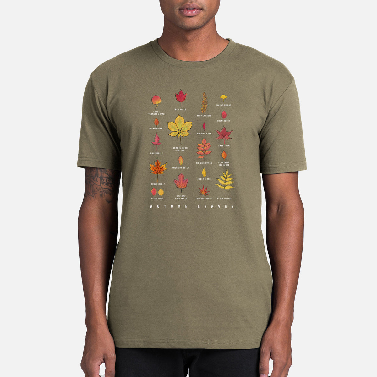 Vibrant Autumn Leaves Chart - Mens Everyday Staple Tee