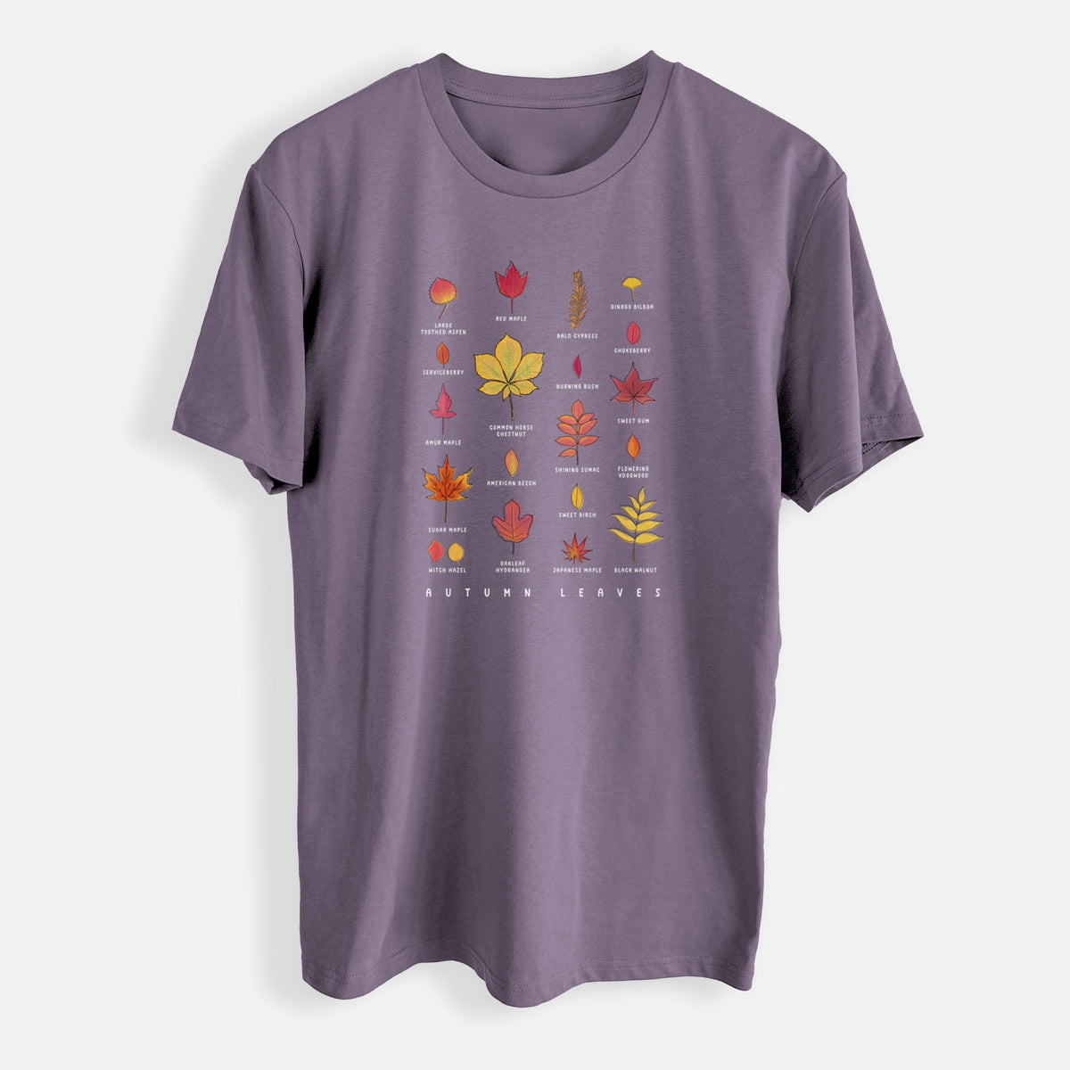 Vibrant Autumn Leaves Chart - Mens Everyday Staple Tee