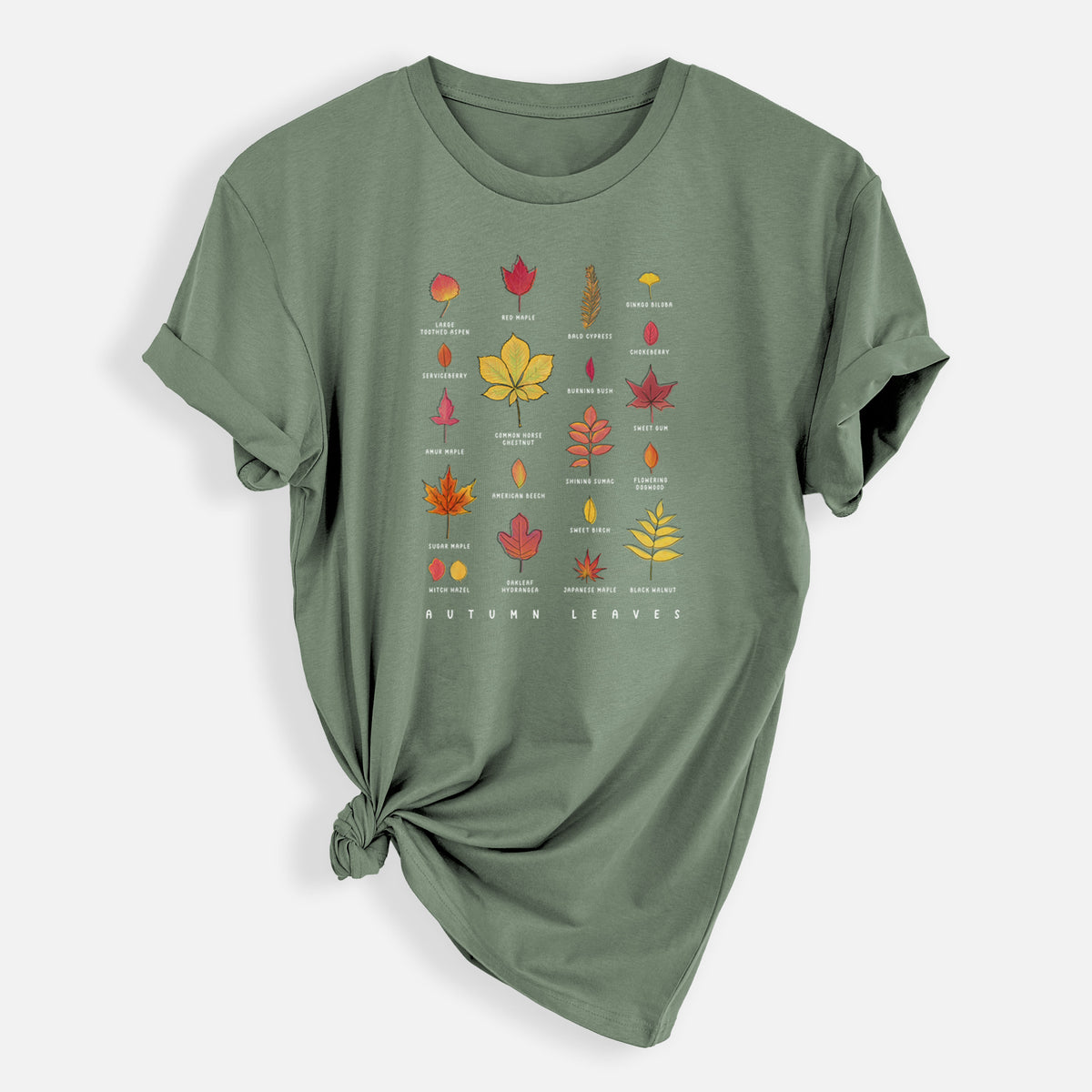 Vibrant Autumn Leaves Chart - Mens Everyday Staple Tee