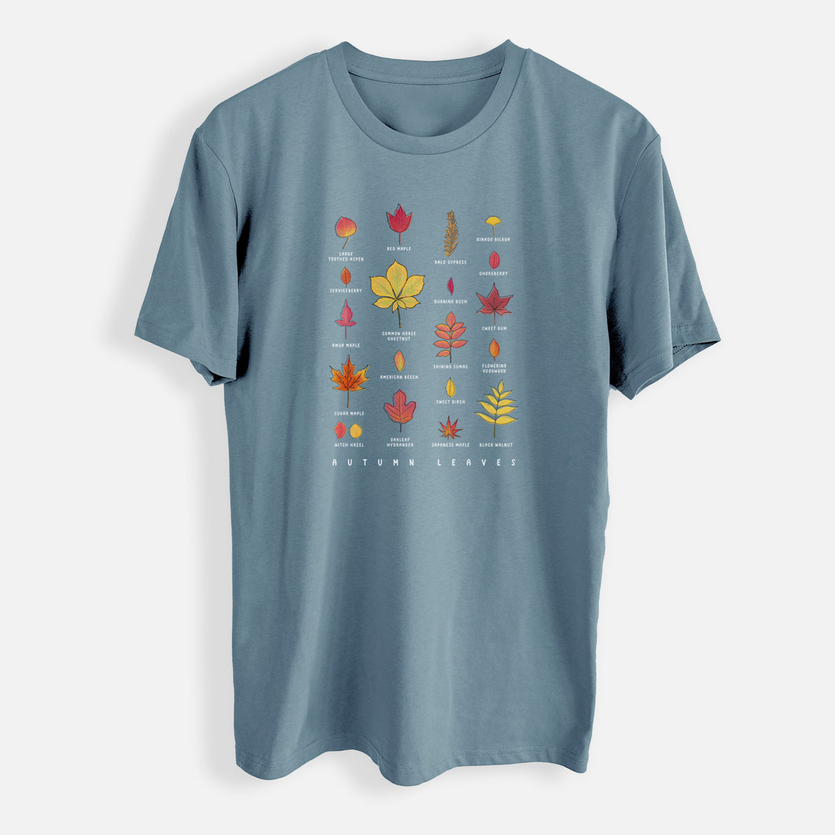 Vibrant Autumn Leaves Chart - Mens Everyday Staple Tee