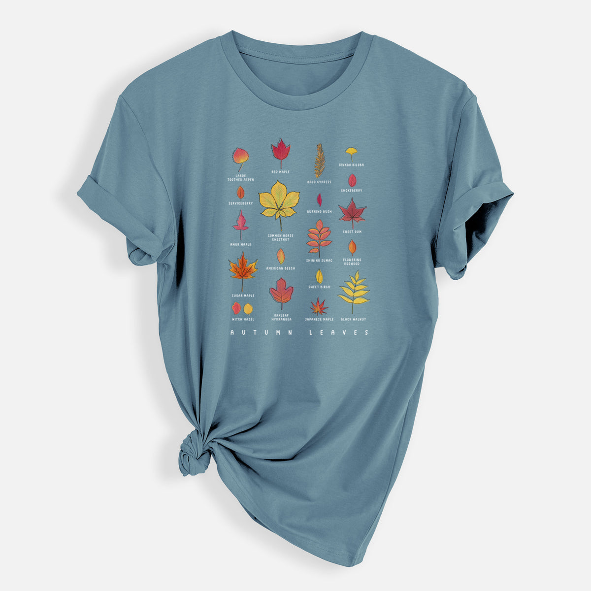 Vibrant Autumn Leaves Chart - Mens Everyday Staple Tee