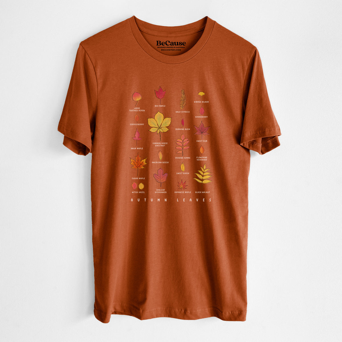 Vibrant Autumn Leaves Chart - Lightweight 100% Cotton Unisex Crewneck