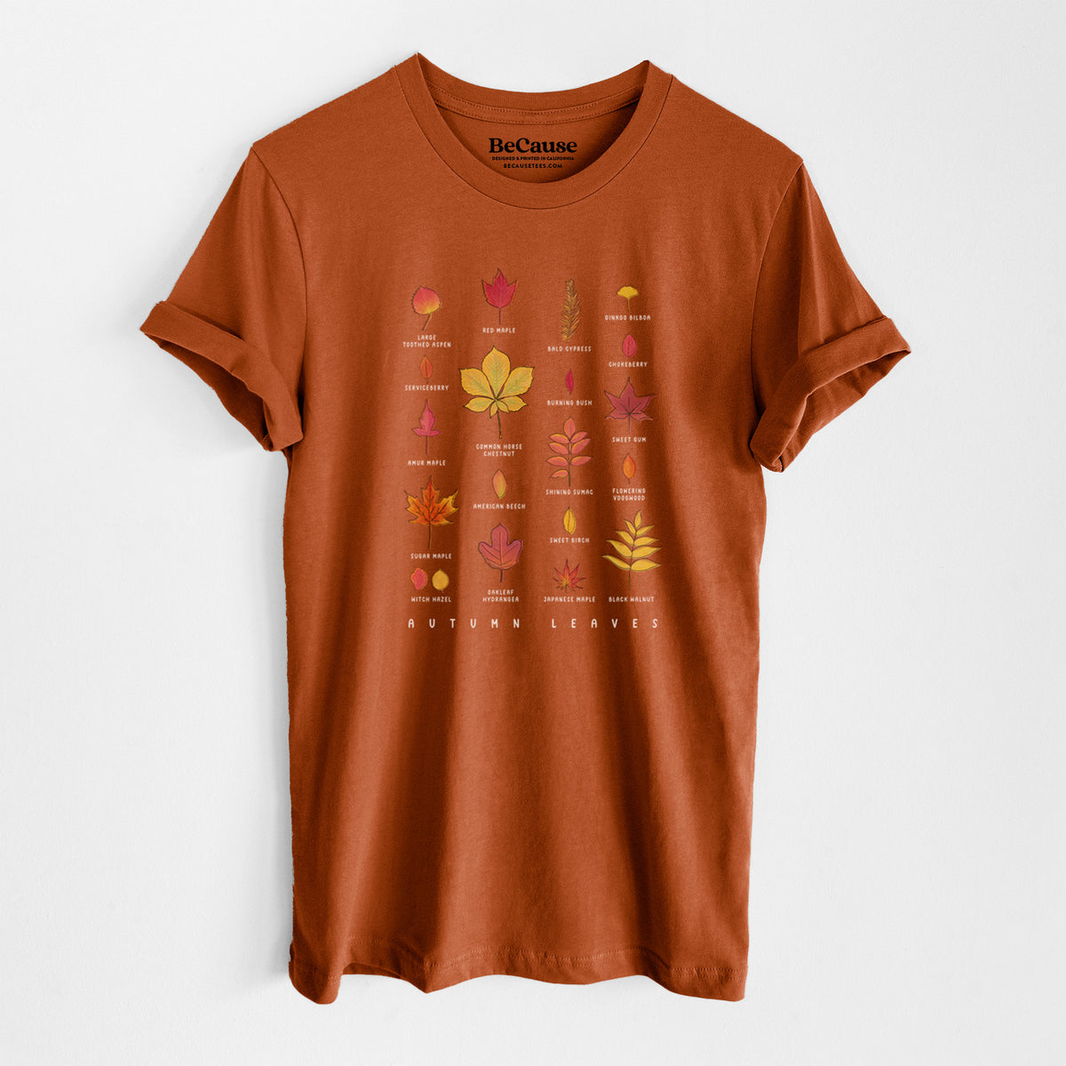 Vibrant Autumn Leaves Chart - Lightweight 100% Cotton Unisex Crewneck