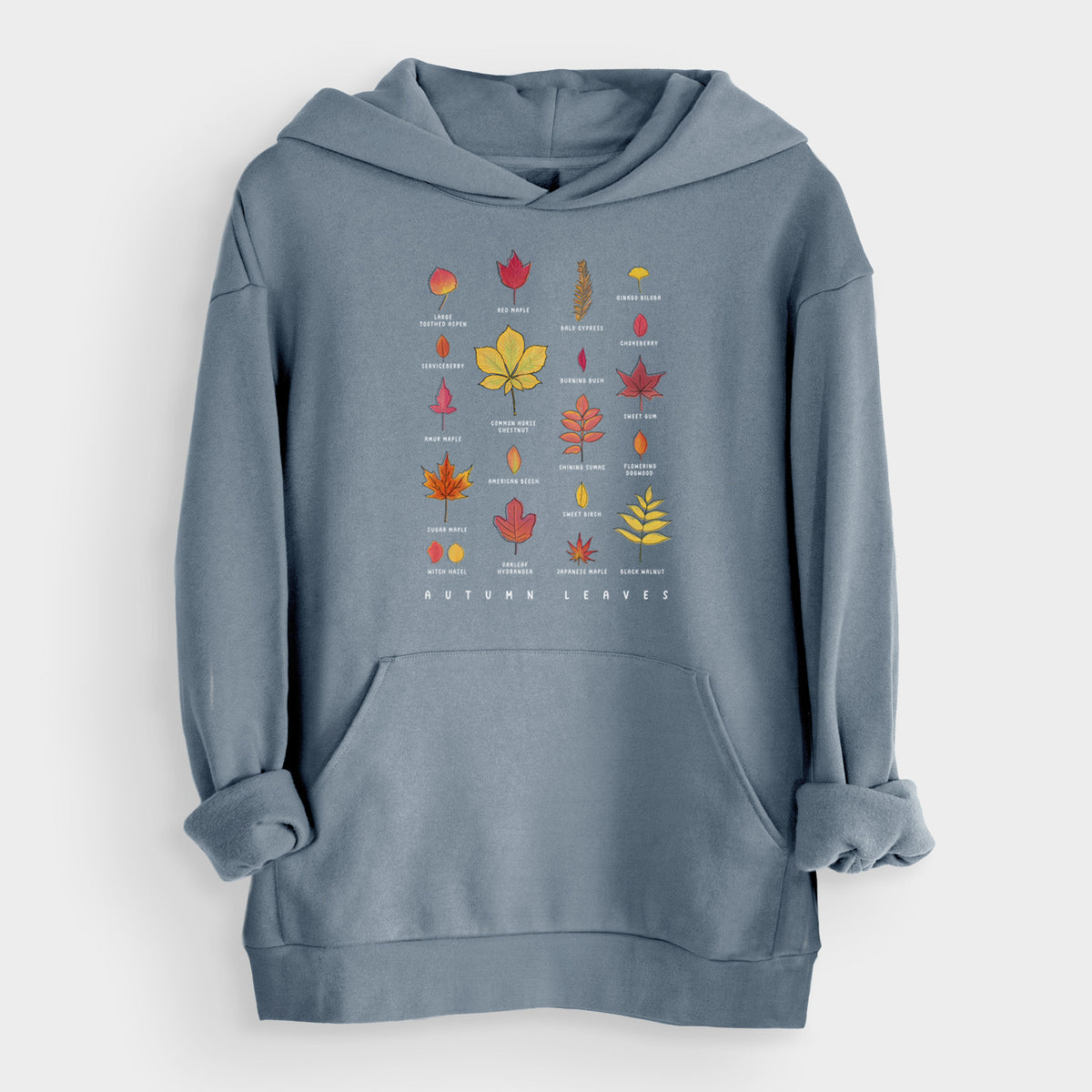 Vibrant Autumn Leaves Chart  - Bodega Midweight Hoodie