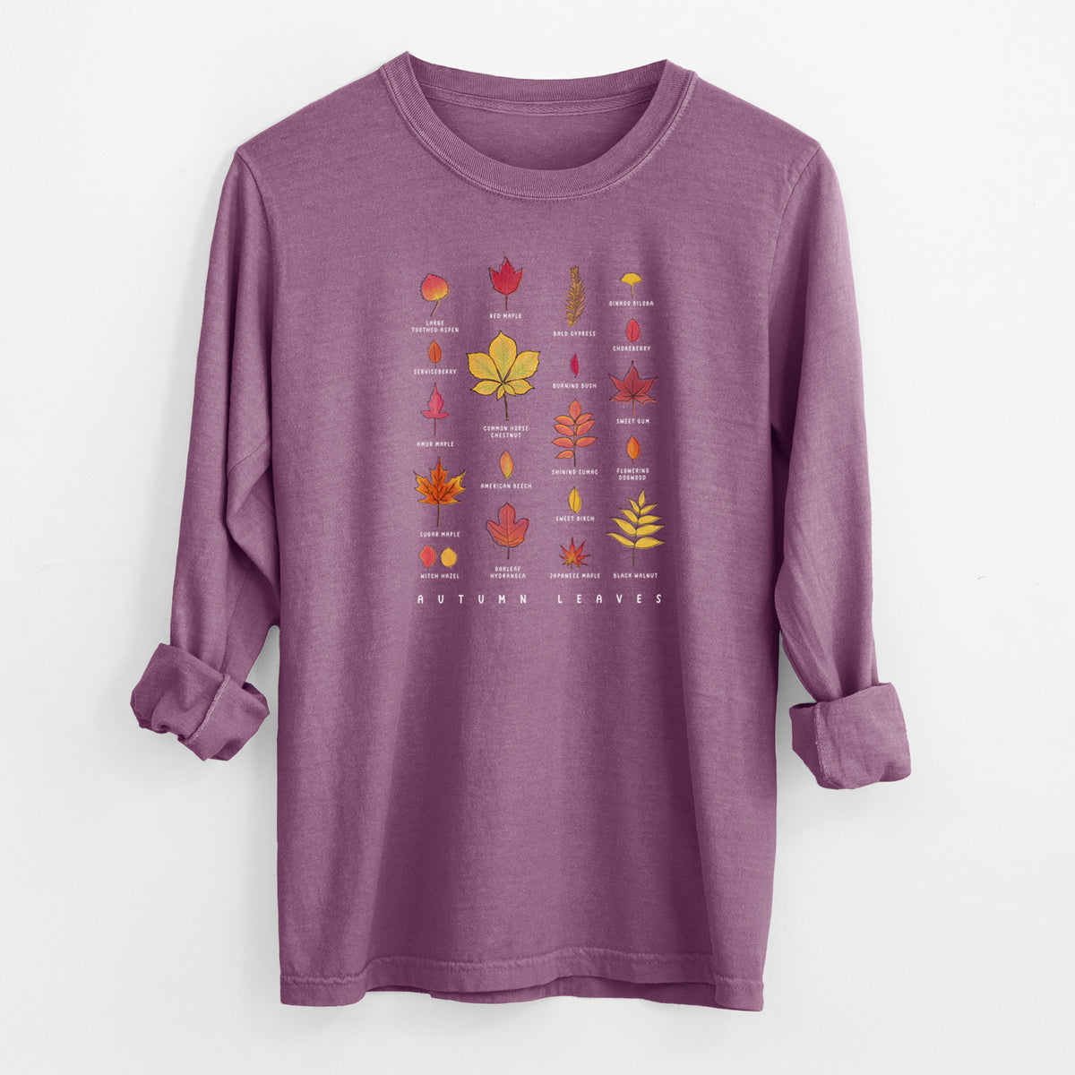 Vibrant Autumn Leaves Chart - Heavyweight 100% Cotton Long Sleeve