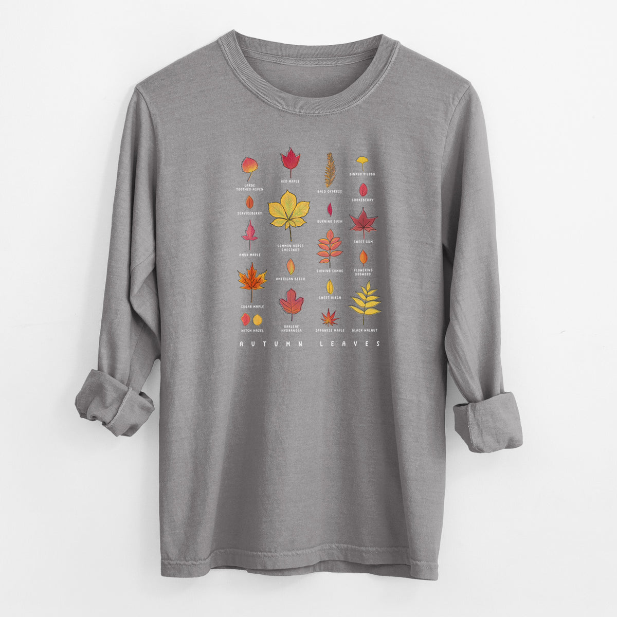 Vibrant Autumn Leaves Chart - Heavyweight 100% Cotton Long Sleeve