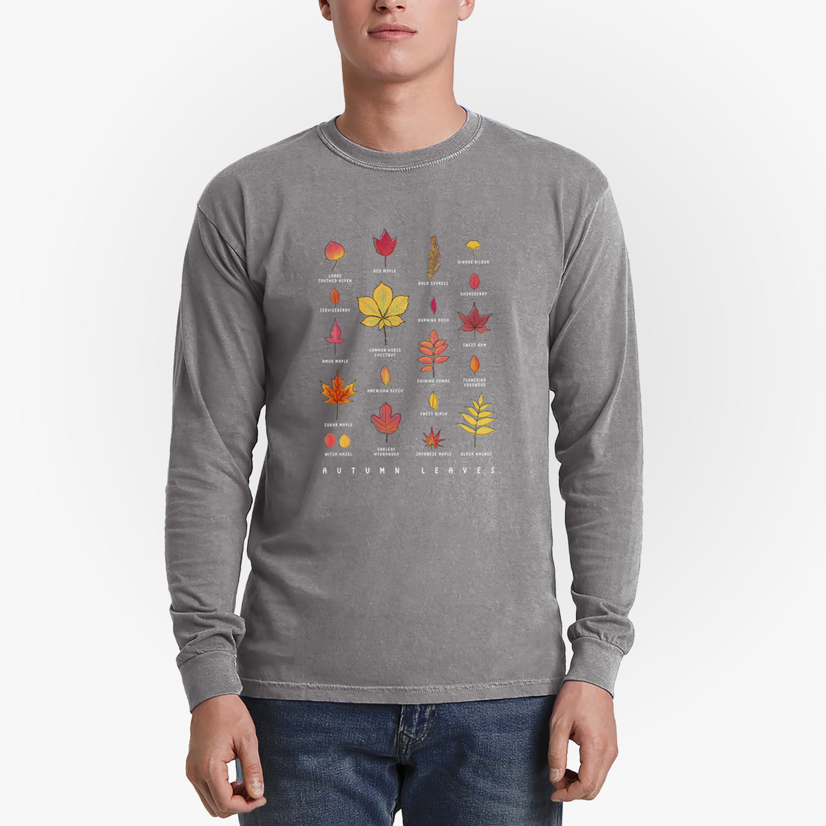 Vibrant Autumn Leaves Chart - Heavyweight 100% Cotton Long Sleeve